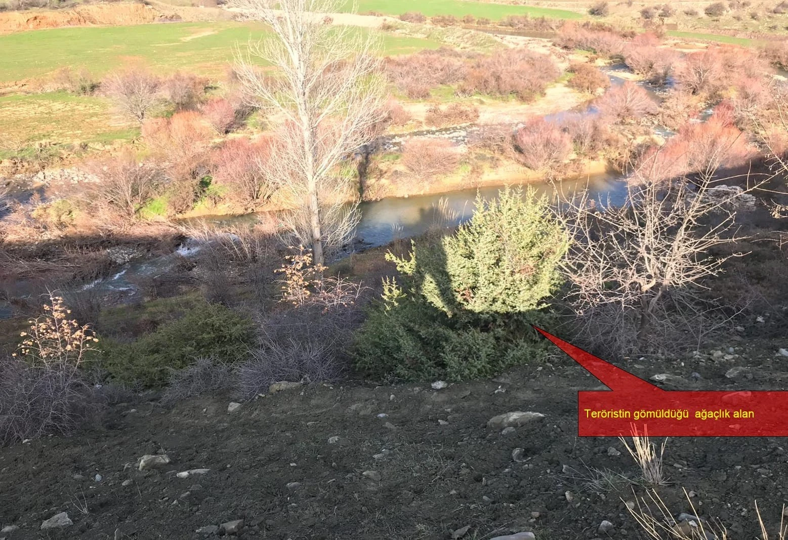 Diyarbakır'da terör operasyonu