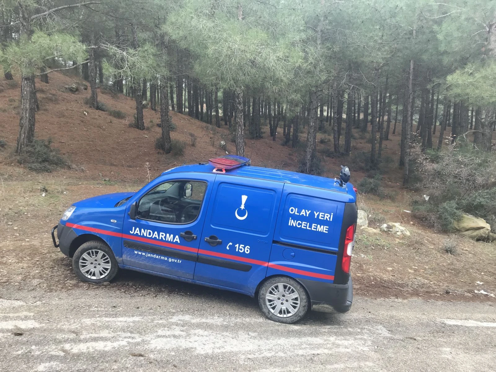 Edirne’de vahşet: Parçalayarak ormana attılar