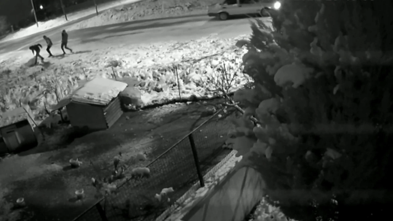 Denizli'de kardan adama şiddet! Uçan tekme attılar