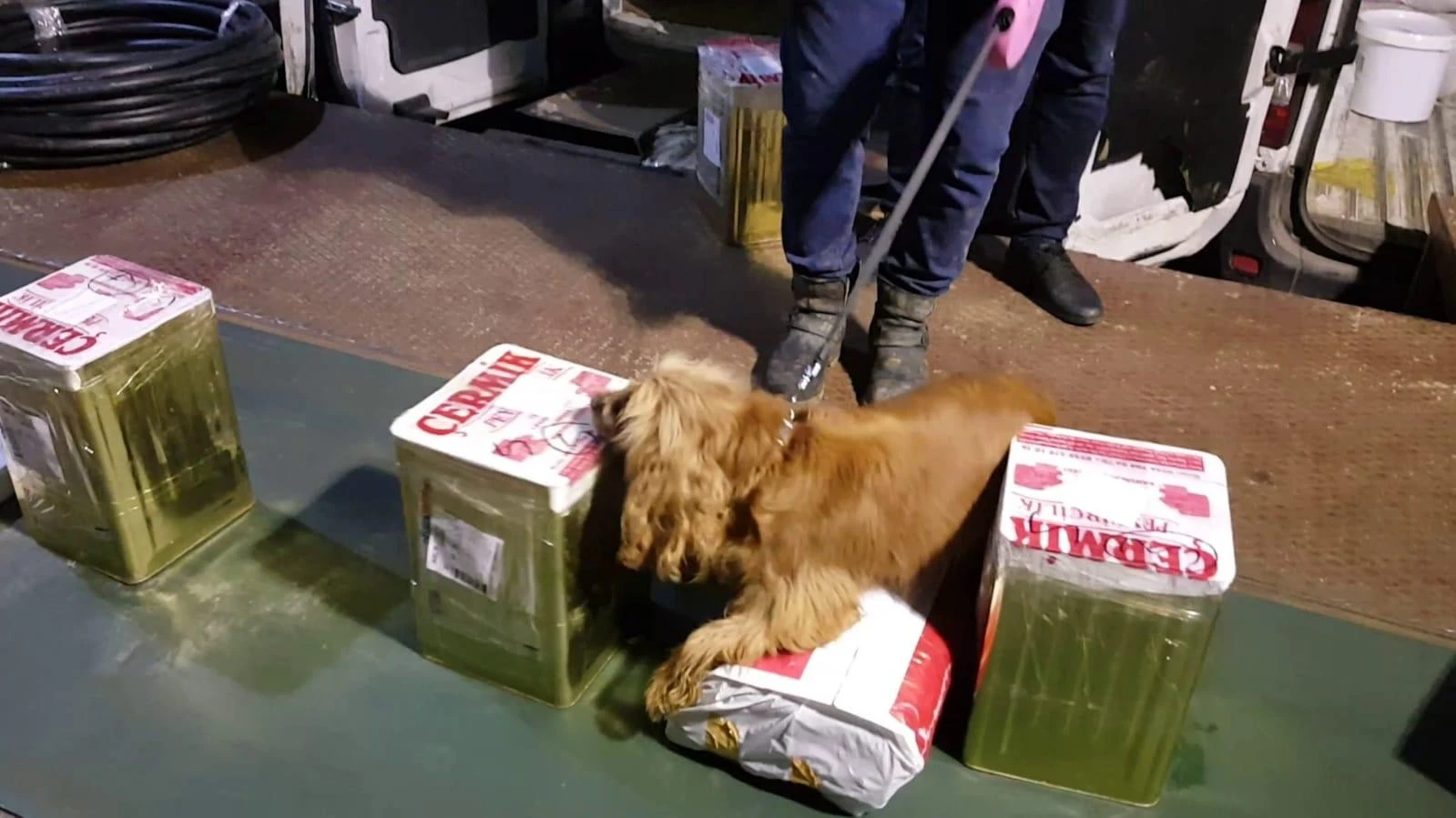 Peynir tenekelerinin içine saklanan uyuşturucuyu dedektör köpek buldu