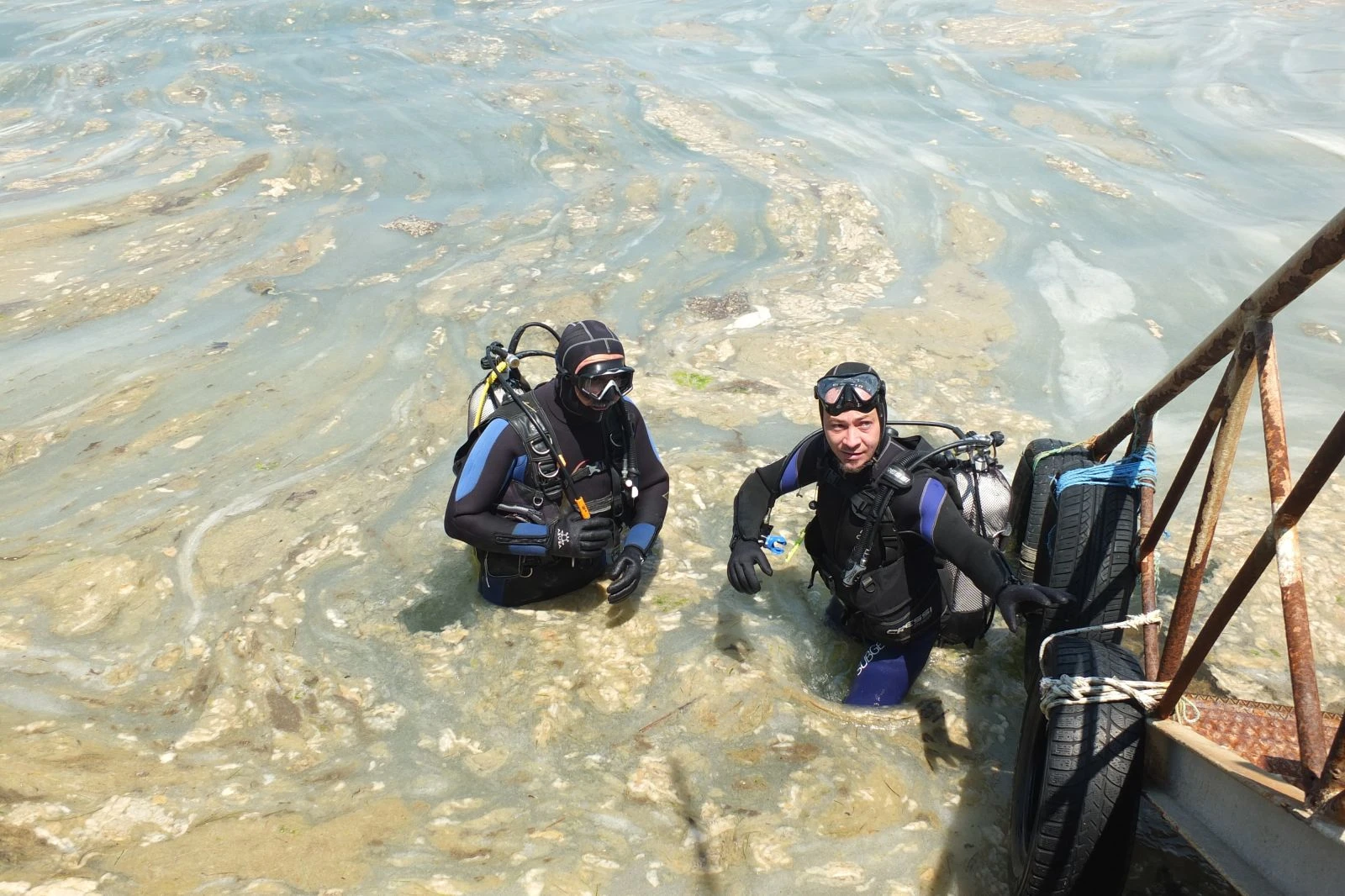Tehlike büyüyor: Mujilas(deniz salyası) Marmara Denizi'ni kapladı
