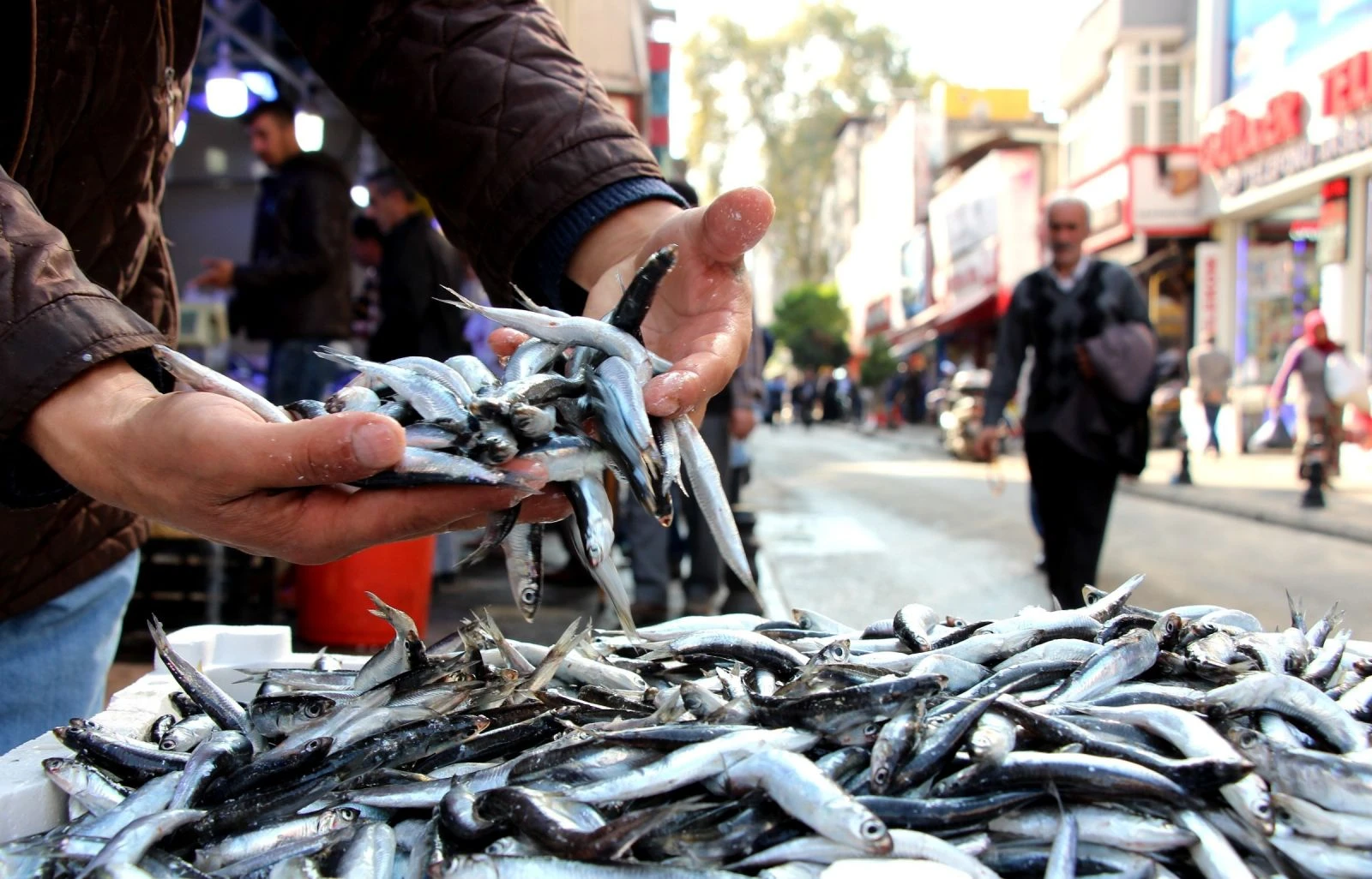 Kafa karıştıran iki açıklama! 150 bin ton hamsi nerede?