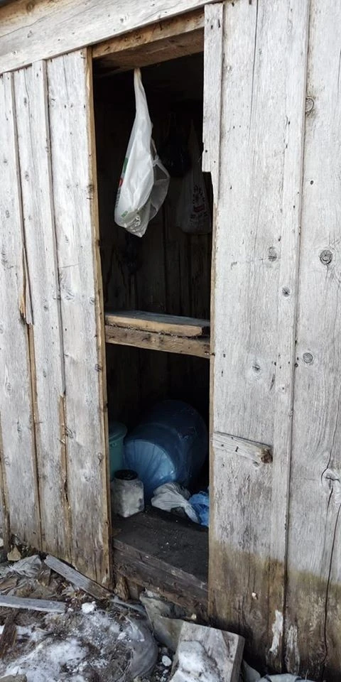 Tarkan'ın yaylasında bulunan evlere ayı saldırdı