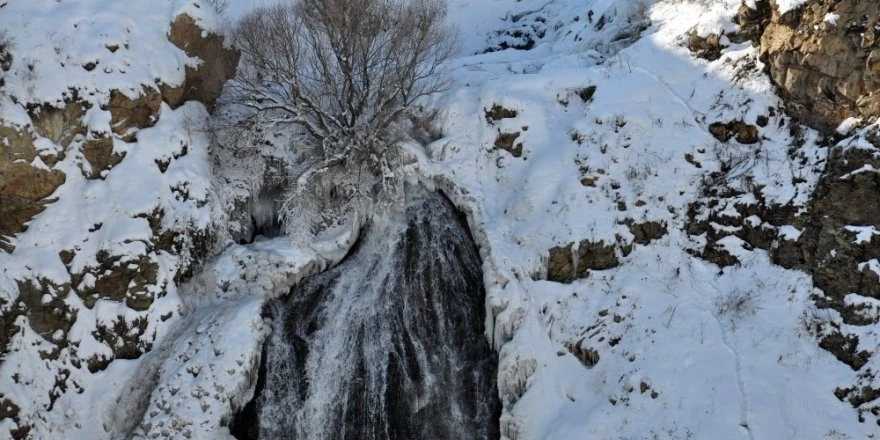 Görenler şaşkına döndü! Şelale bile dondu