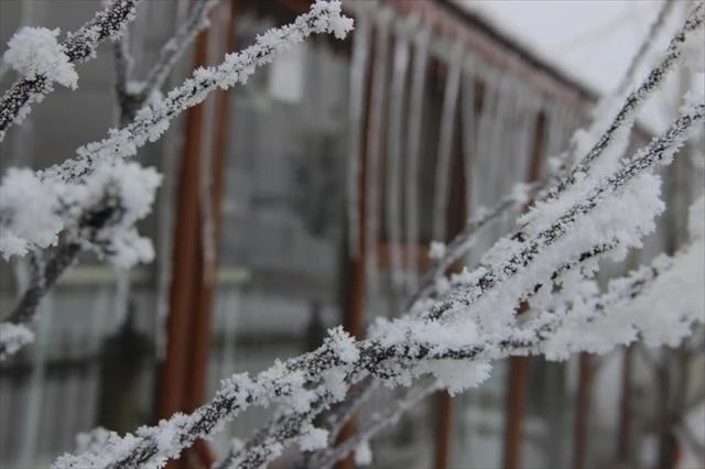 Erzurum dondu: Eksi 25 derece