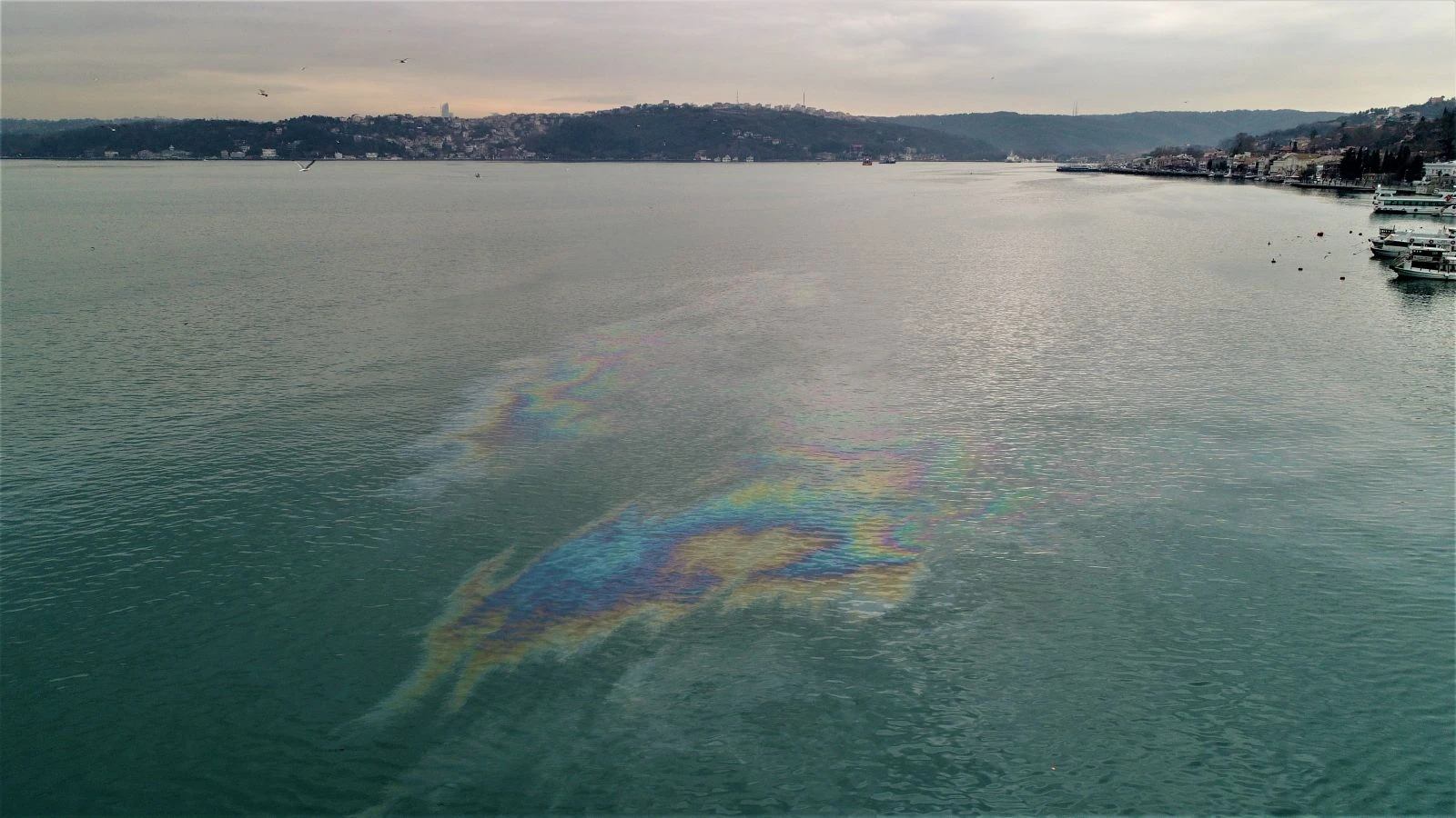 Havadan görüntülendi! İstanbul Boğazı’nda çevre felaketi