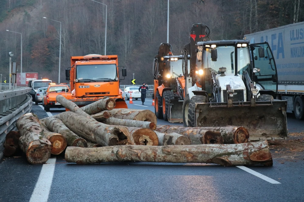 TEM'de kaza! Tırdaki tomruklar yola savruldu: 2 yaralı