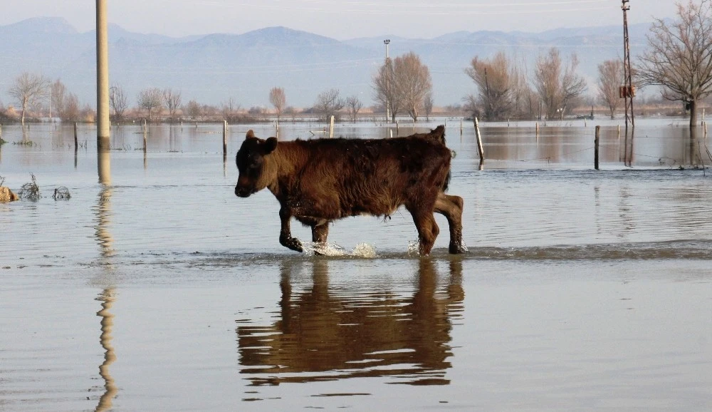 100 bin dönüm tarım arazisi sular altında