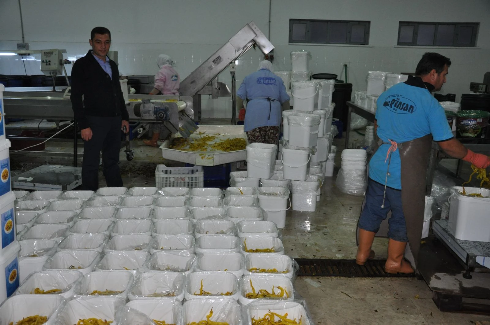 "Ev tipi turşu" ile dünya sofralarına girdi