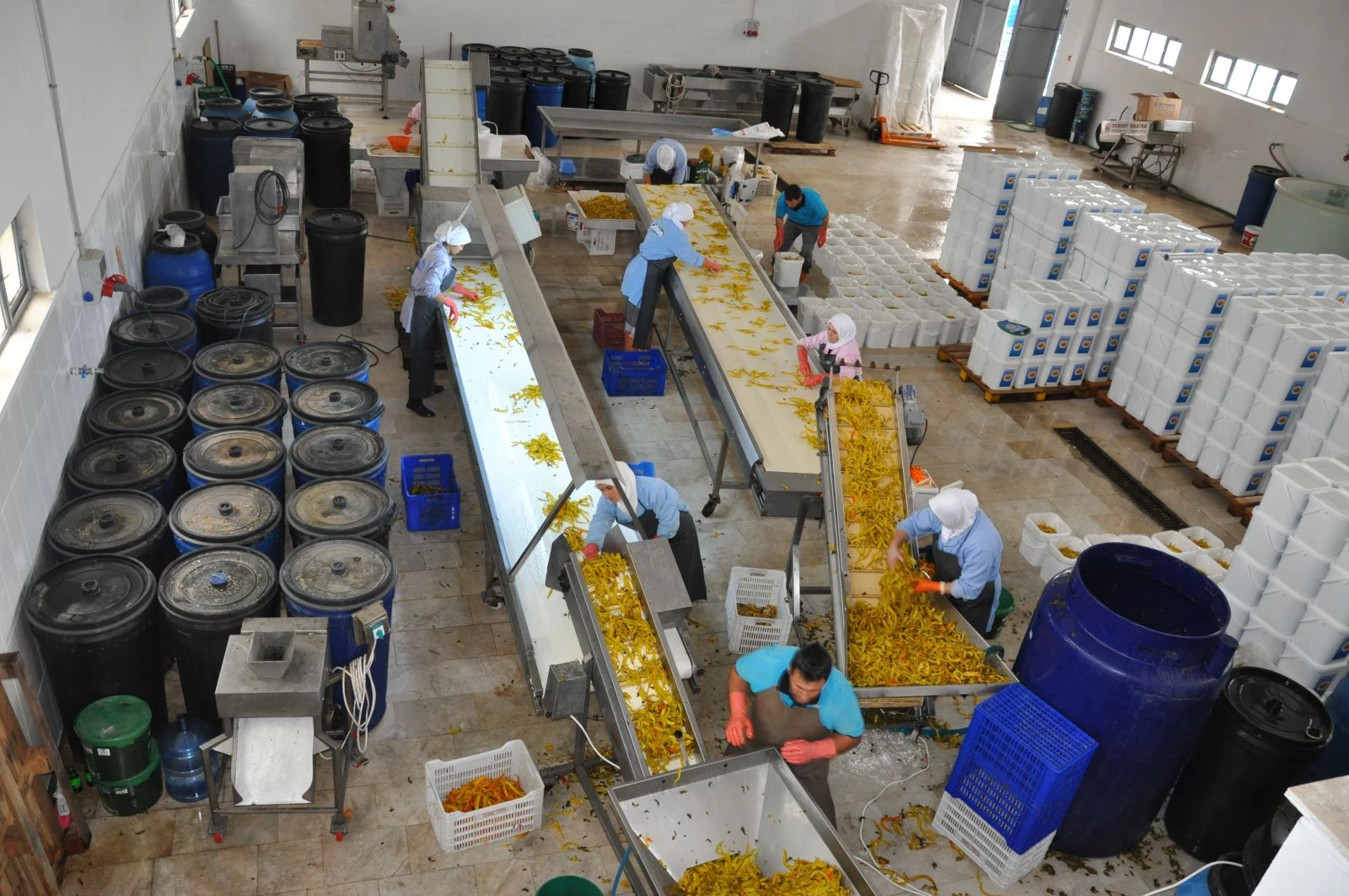 "Ev tipi turşu" ile dünya sofralarına girdi