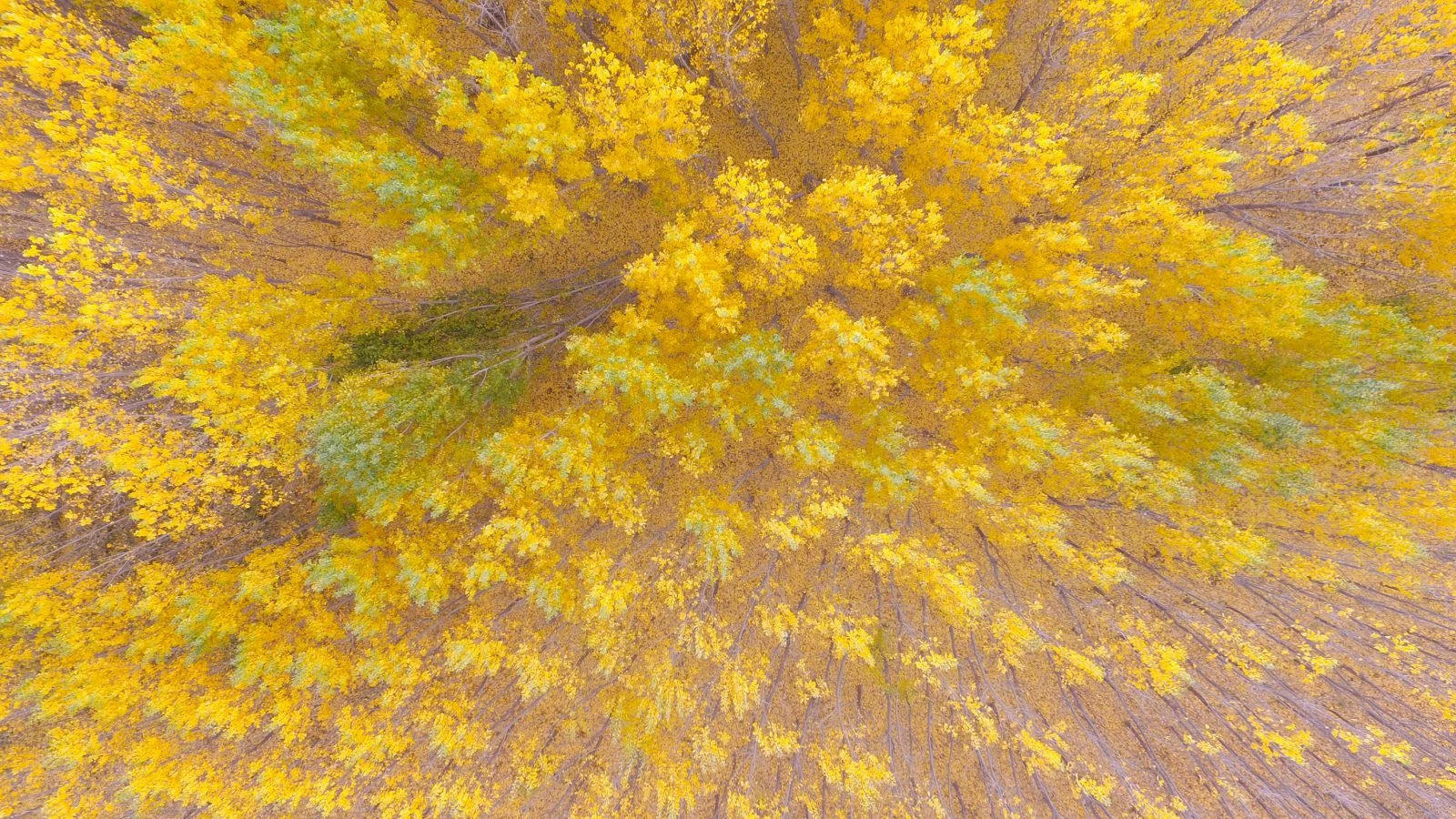 Sonbaharda inanç ve doğa turizminin mola noktası 'Darende'