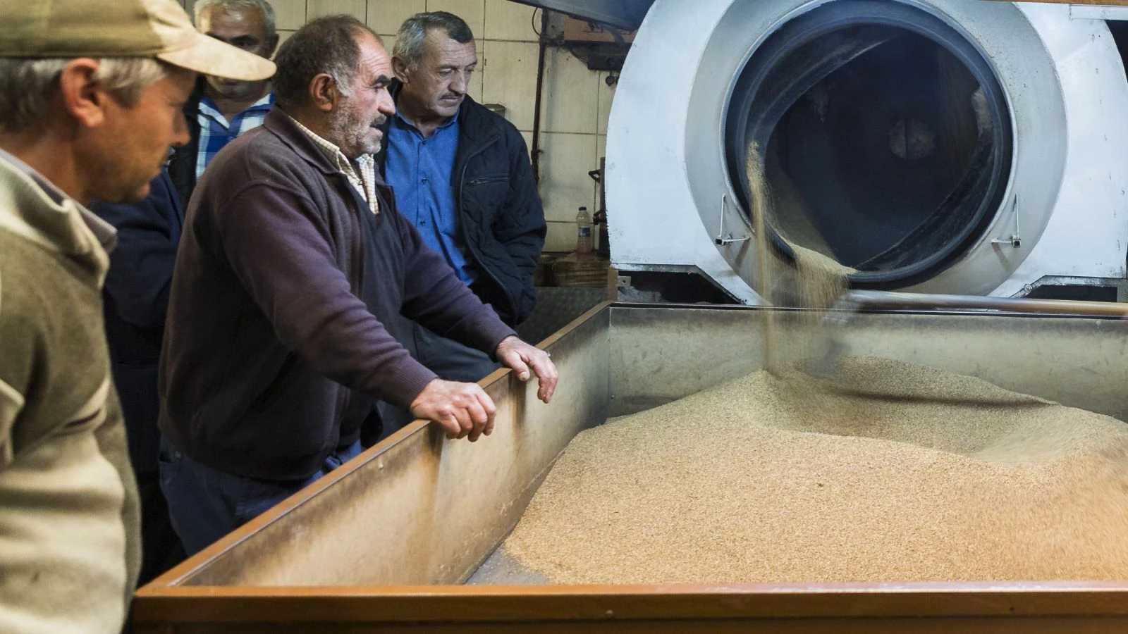 Babadan kalma "tahin değirmeni"nin çarkını döndürüyor