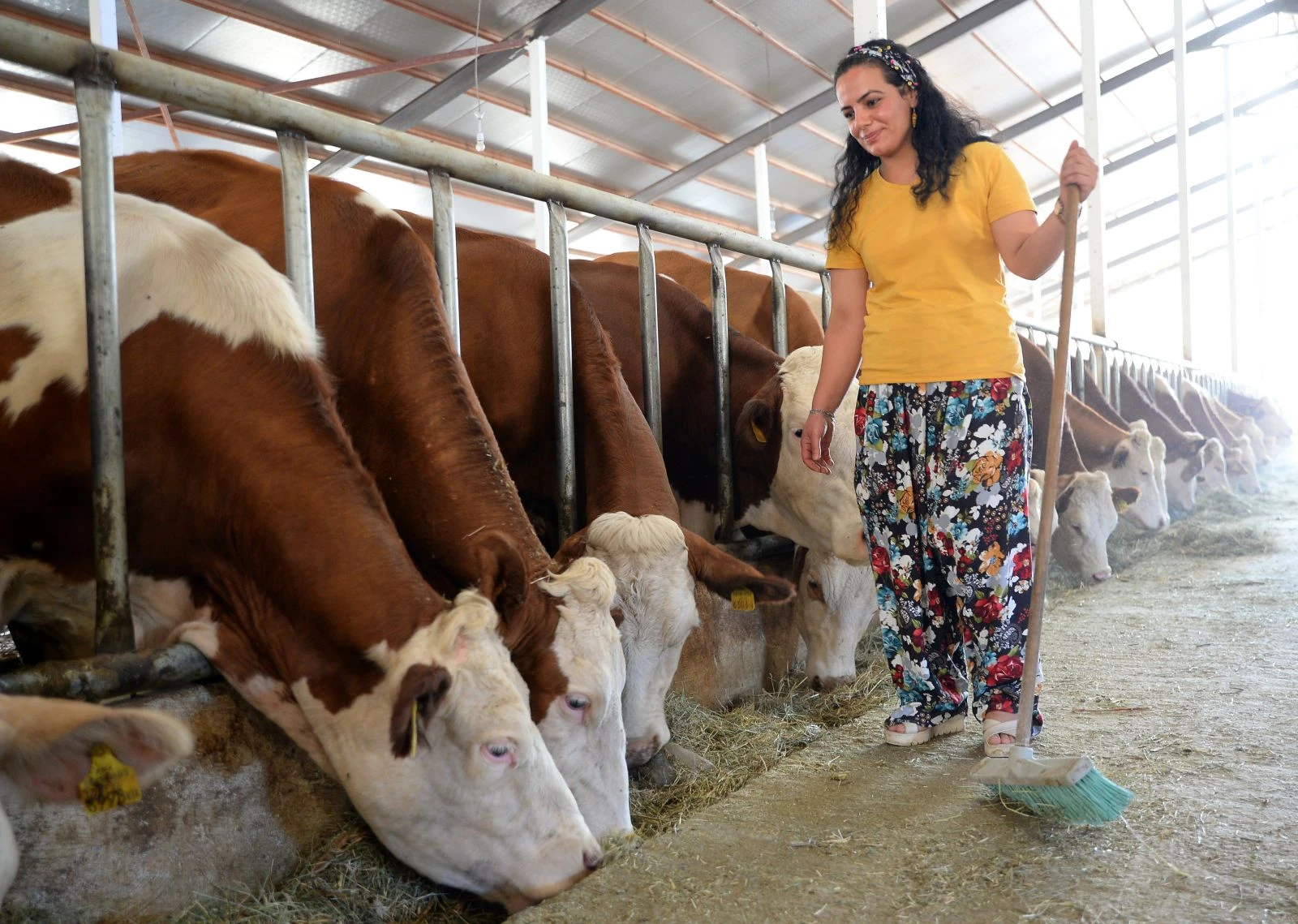 17 yıl sonra döndüğü köyünde süt tesisi kurdu