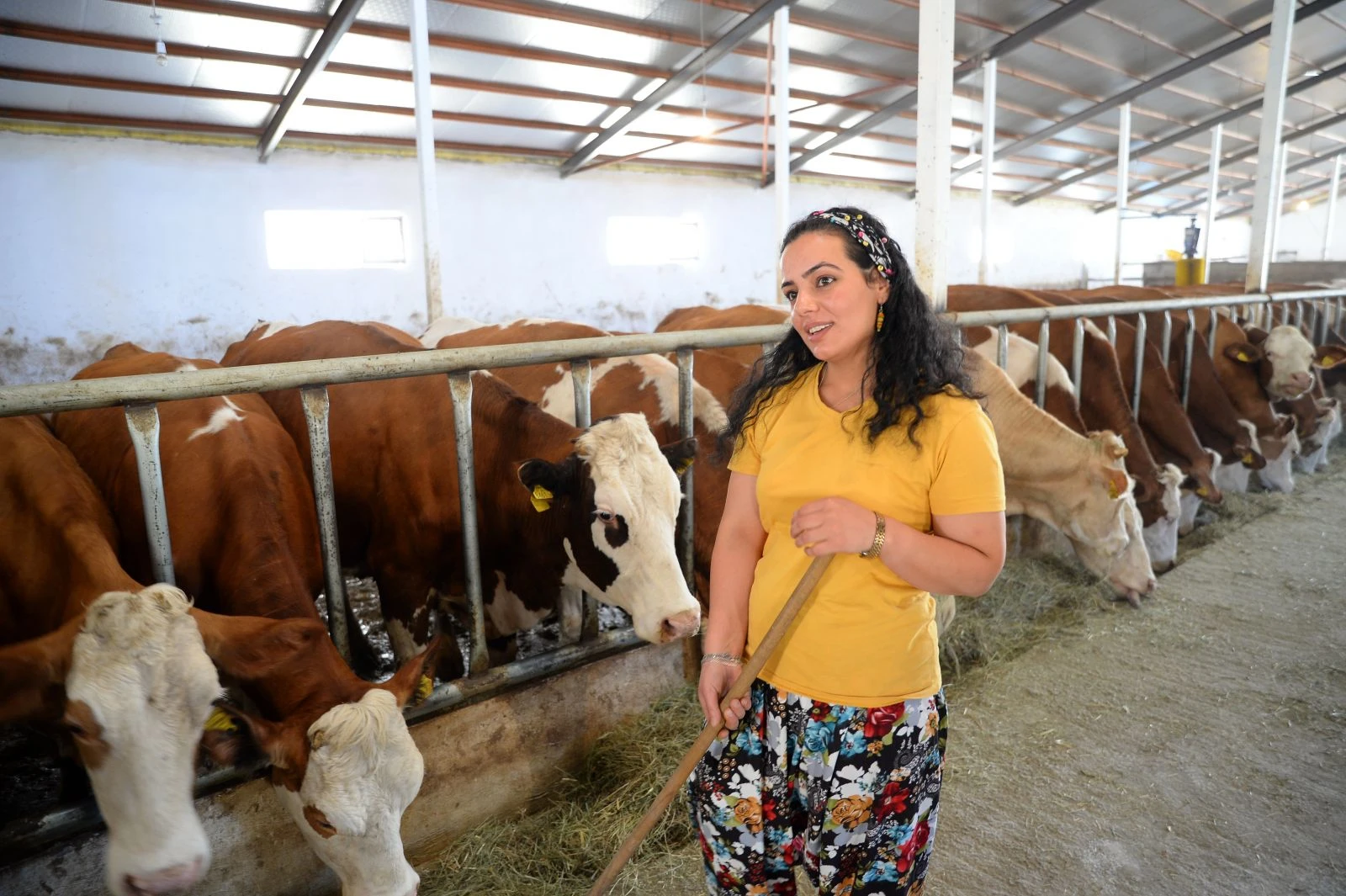 17 yıl sonra döndüğü köyünde süt tesisi kurdu