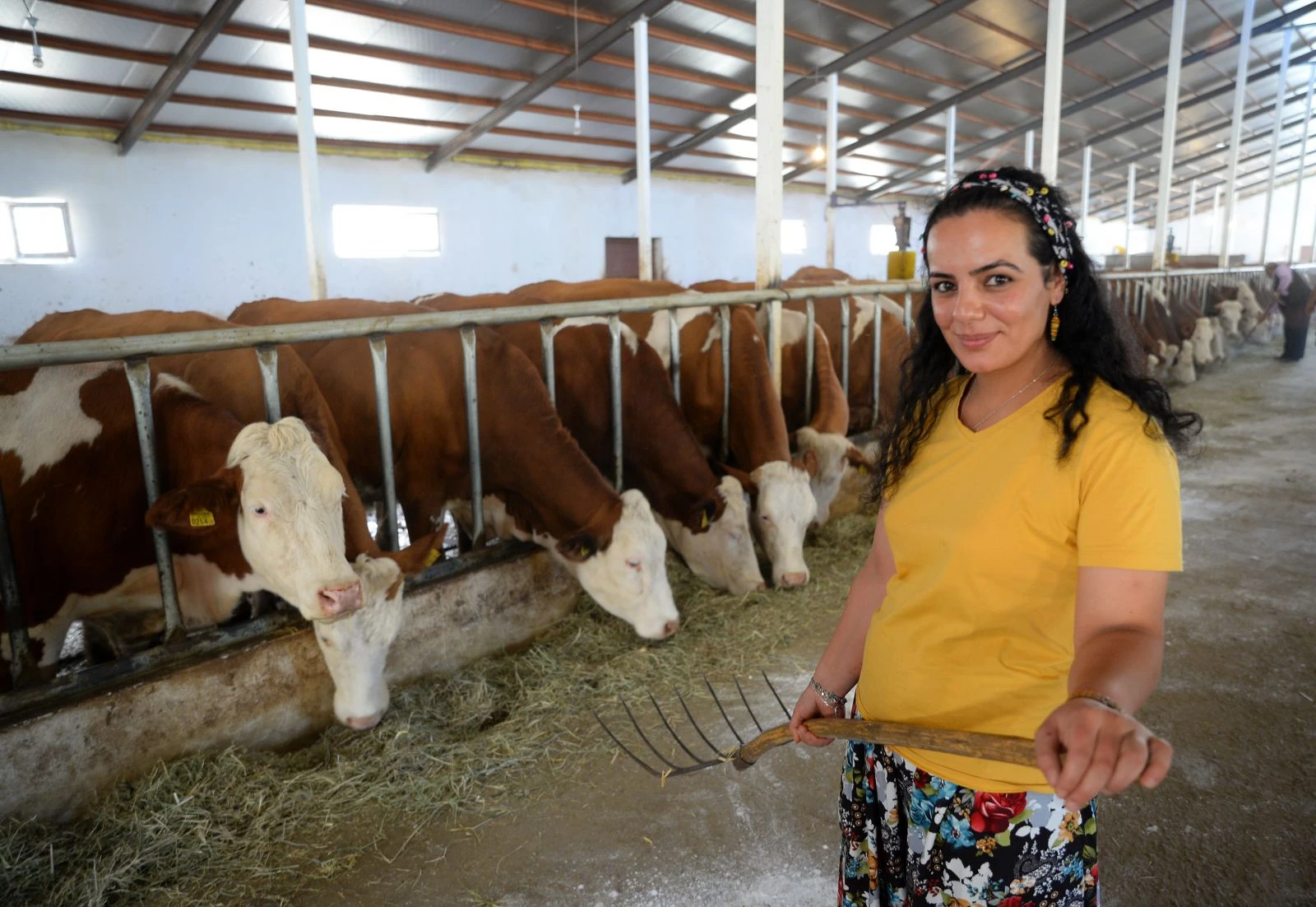 17 yıl sonra döndüğü köyünde süt tesisi kurdu