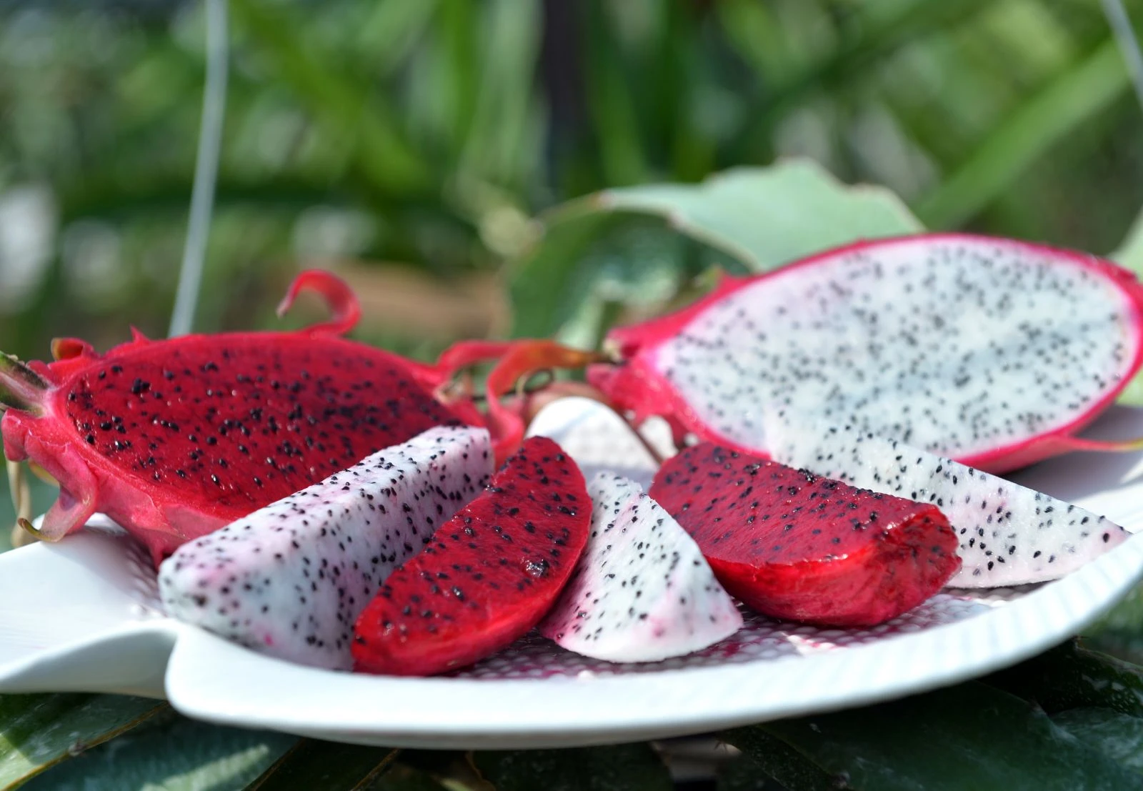 Tanesi 15 TL ama yok satıyor