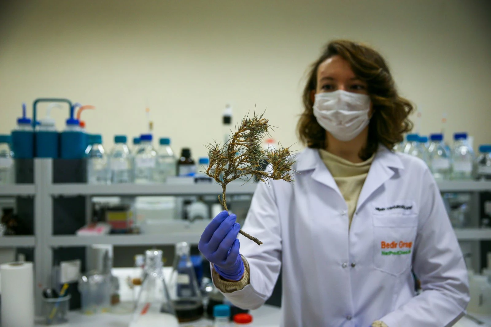 Geven Otu Kanser Hastalarına Umut Oldu