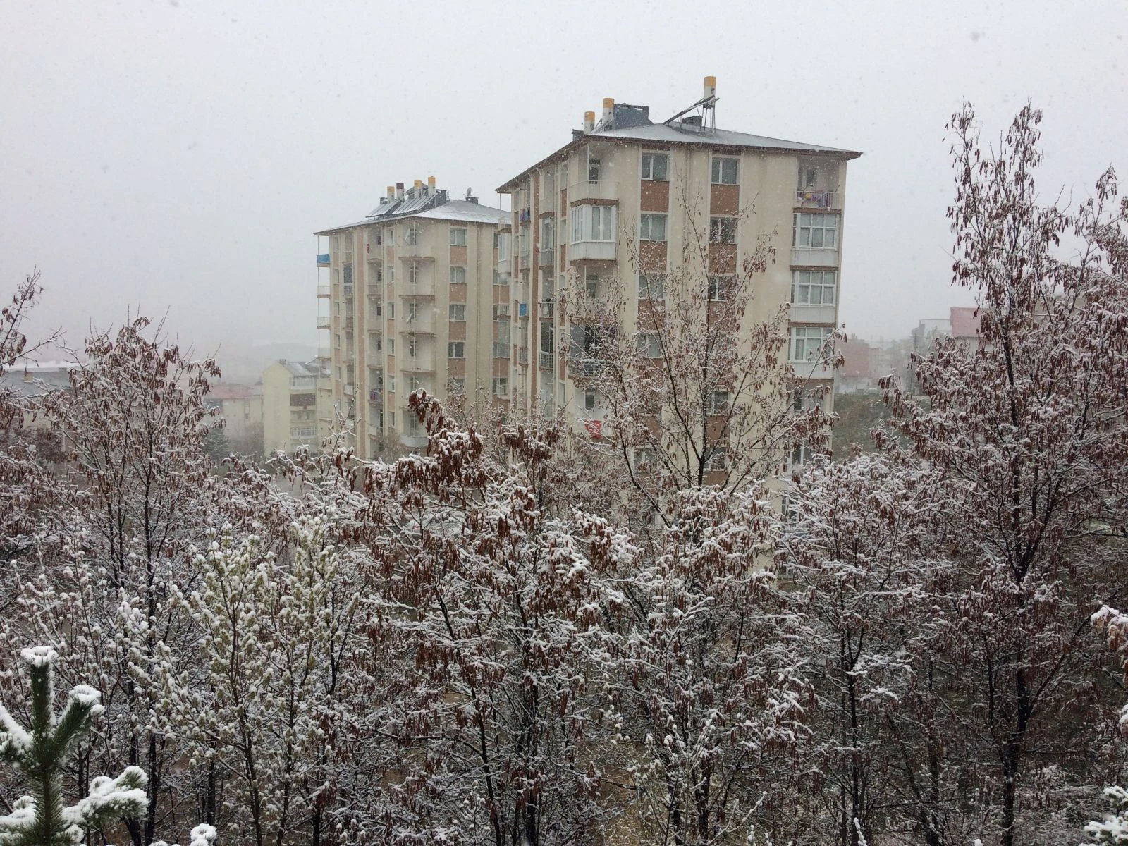 Nisan ayının sonuna doğru kar yağışı