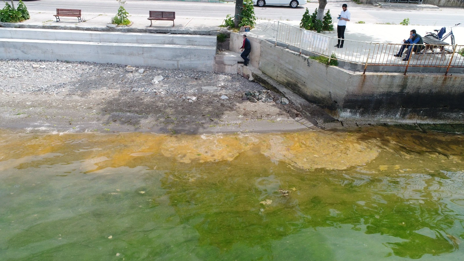 Gemlik Körfezi'nde şaşkına çeviren görüntü