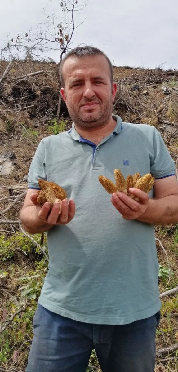 Bağışıklık sistemini güçlendiriyor! Etten daha pahalı