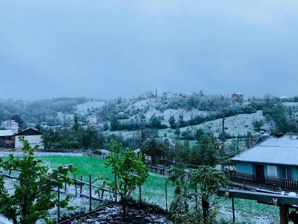 Sivas'ta mayıs karı