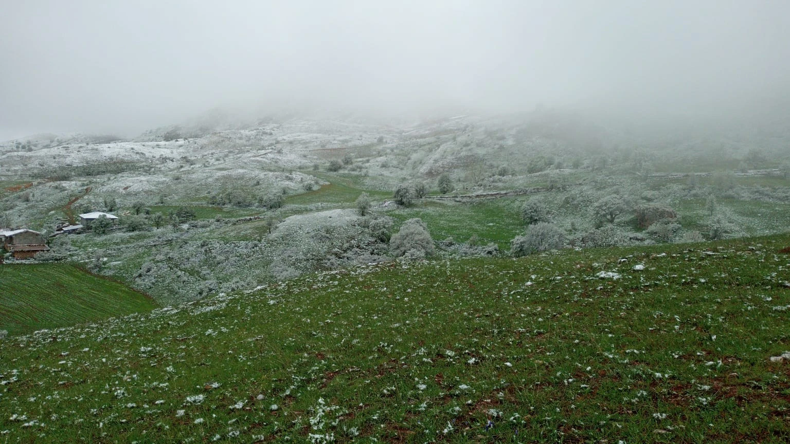Koyulhisar'da kar manzarası
