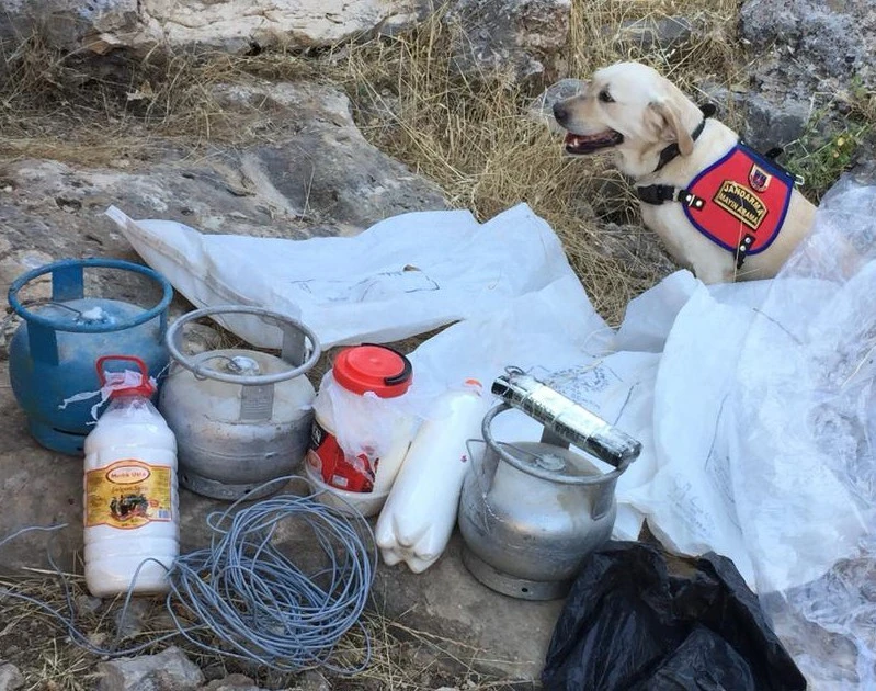 MİT ve jandarmadan ortak operasyon