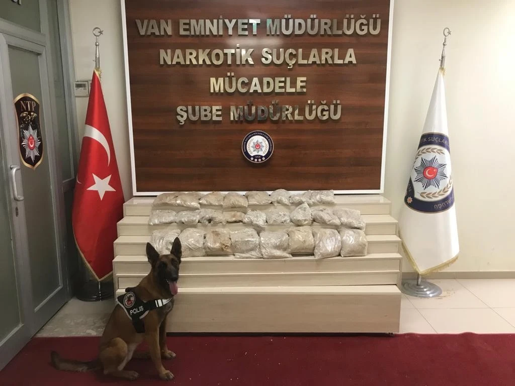 Otlu peynir dolu bidondan zehir çıktı