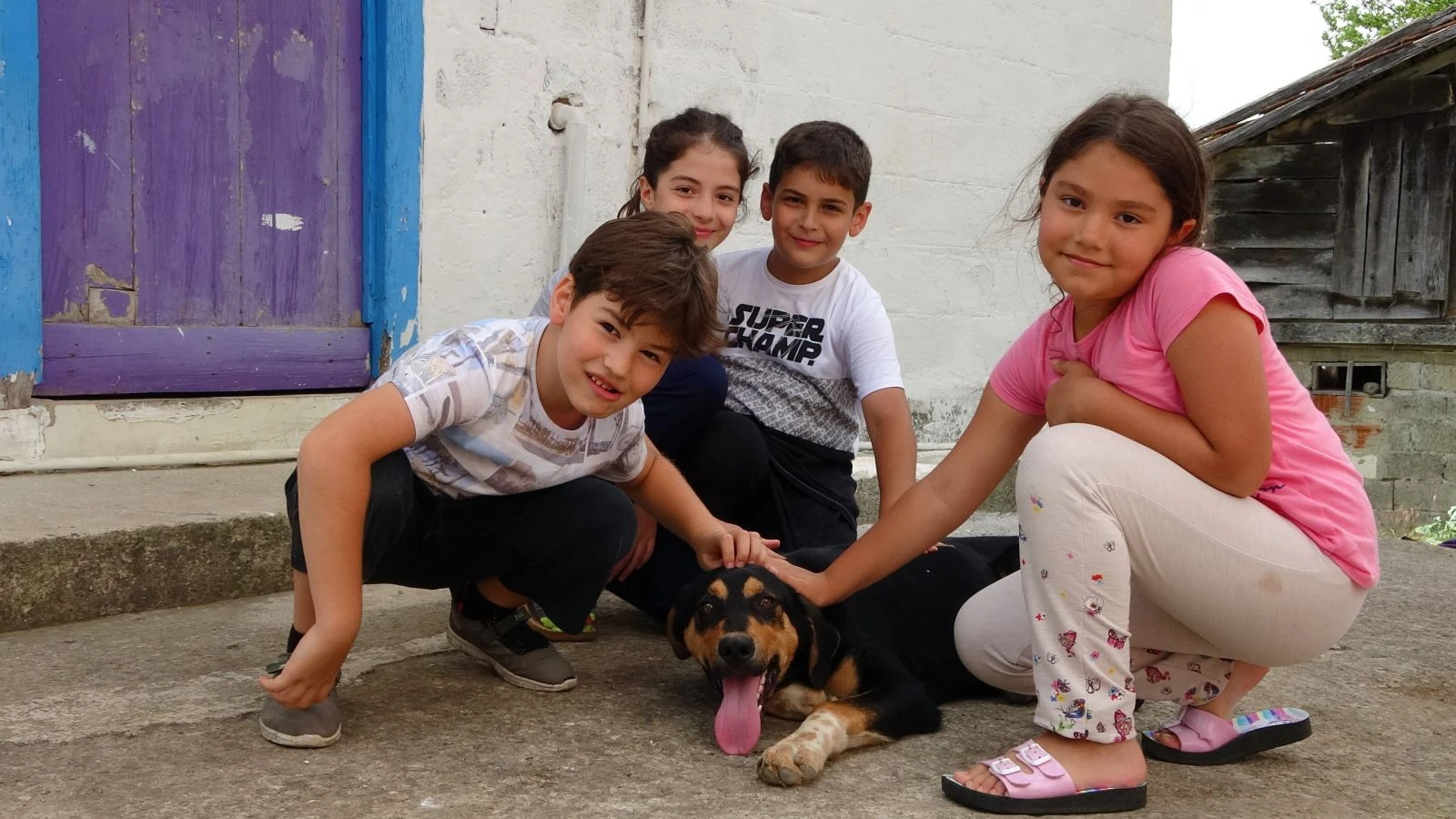 Karadeniz fıkrası gibi mahalle: Yer gök ‘sarı’