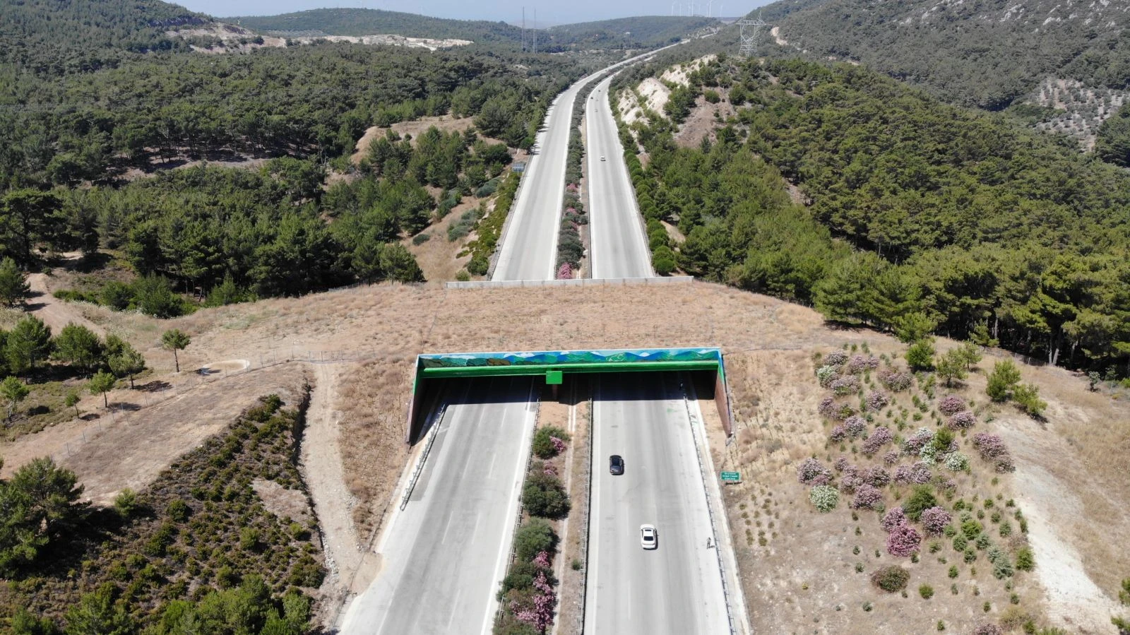 Doğal yaşam köprüsünün yapımı tamamlandı