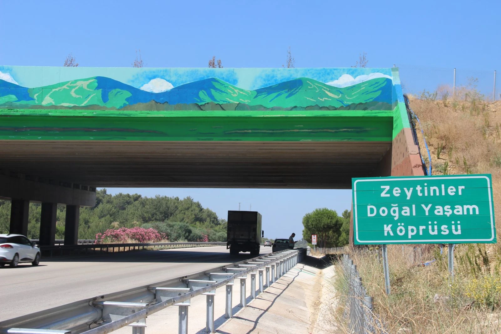 Doğal yaşam köprüsünün yapımı tamamlandı