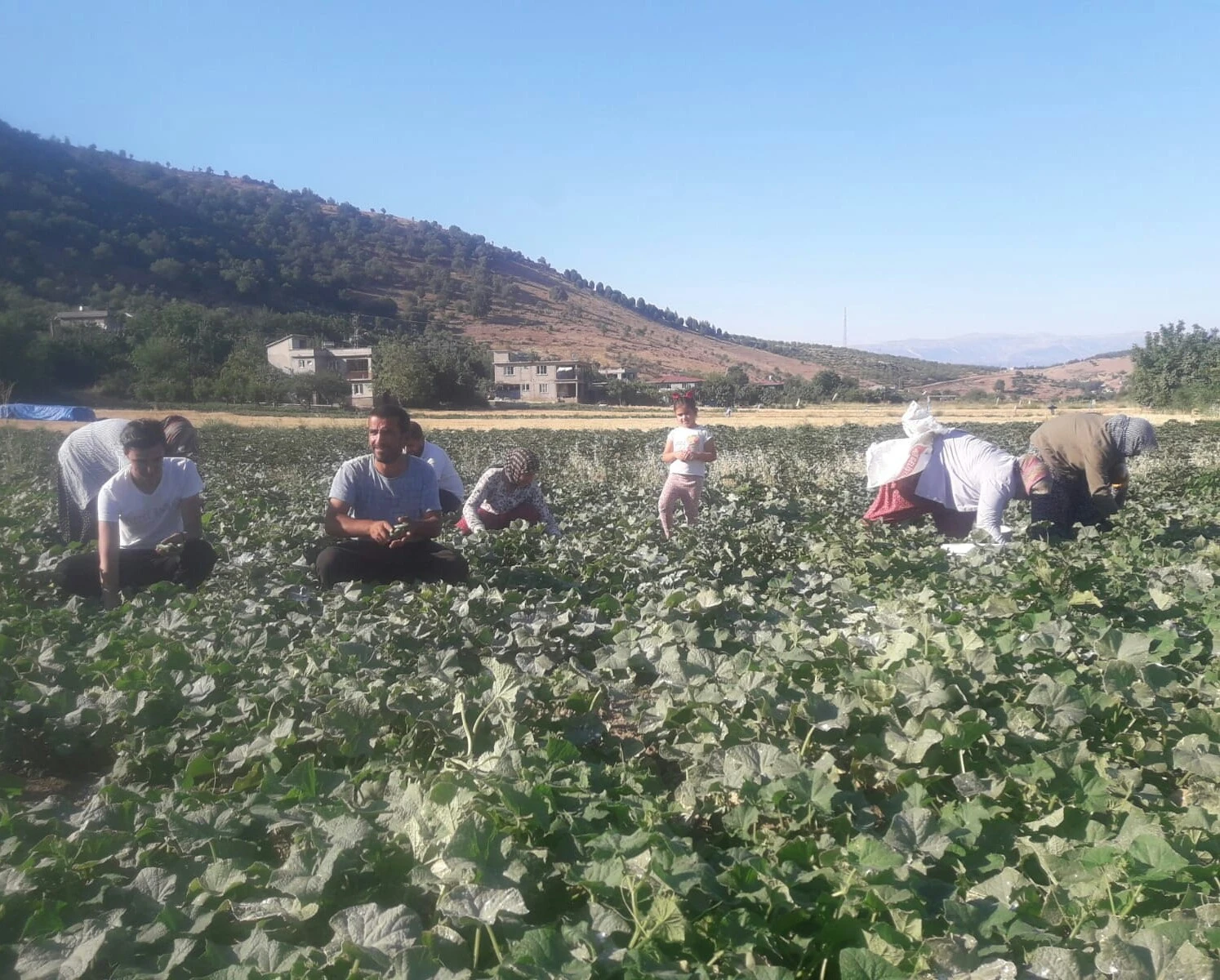 Ev hanımıydı işinin patronu oldu