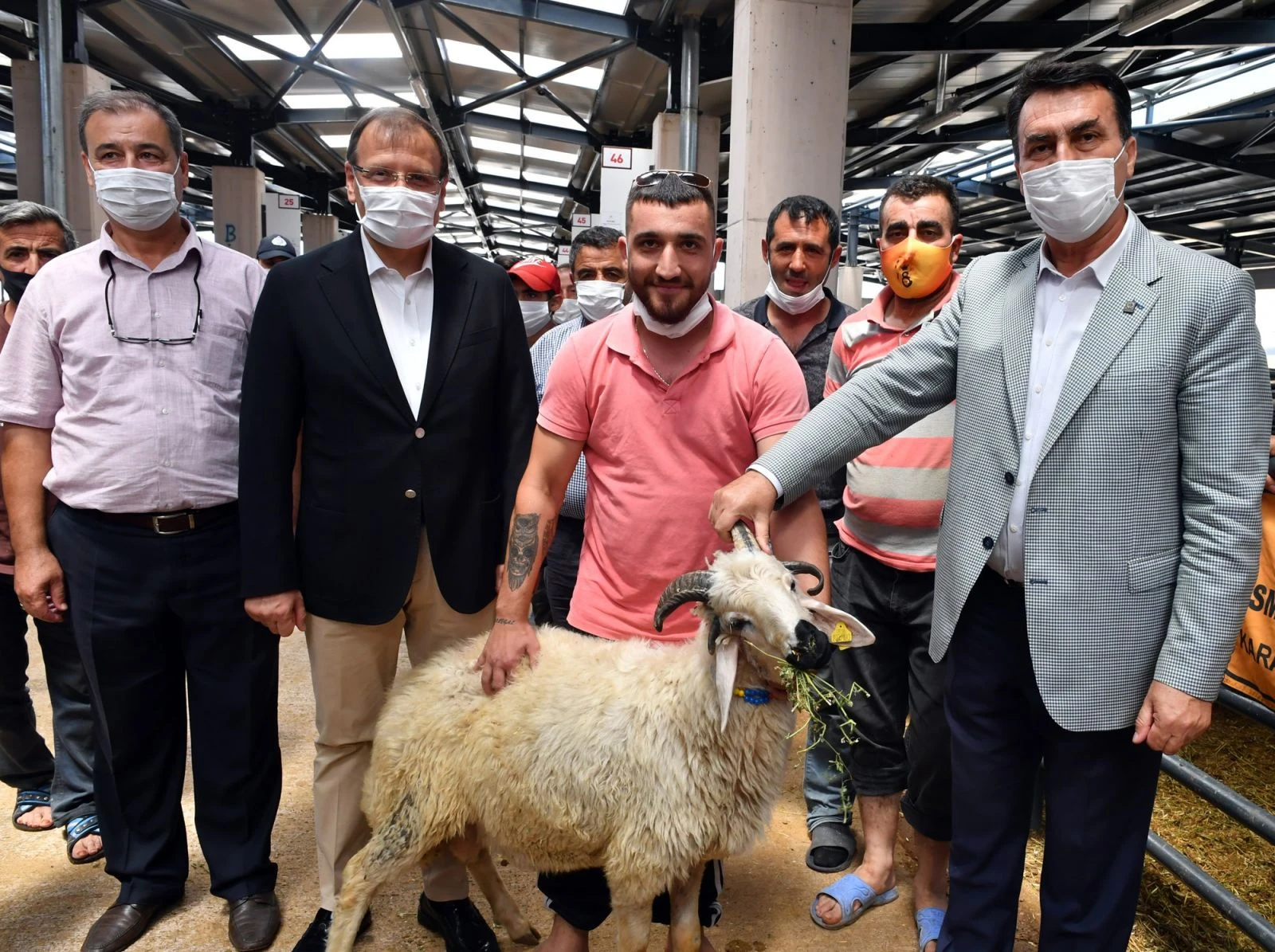 4 boynuzlu koç görenleri şaşkına çeviriyor