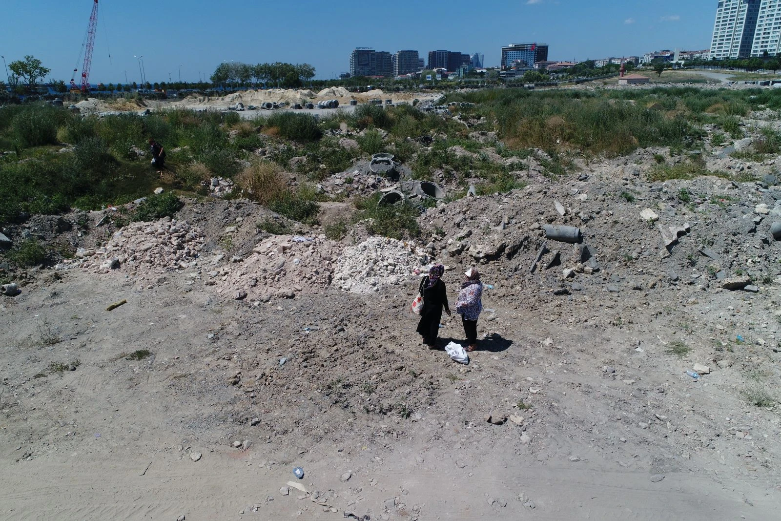 Kanalizasyon hafriyatında domates yetişiyor