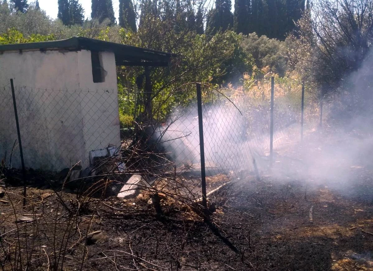 Balıkesir'de zeytinlik alanda çıkan yangın 3 zeytin ağacını kül etti