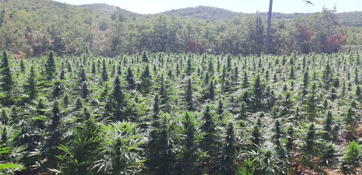 Diyarbakır’da terörün finans kaynağına büyük darbe