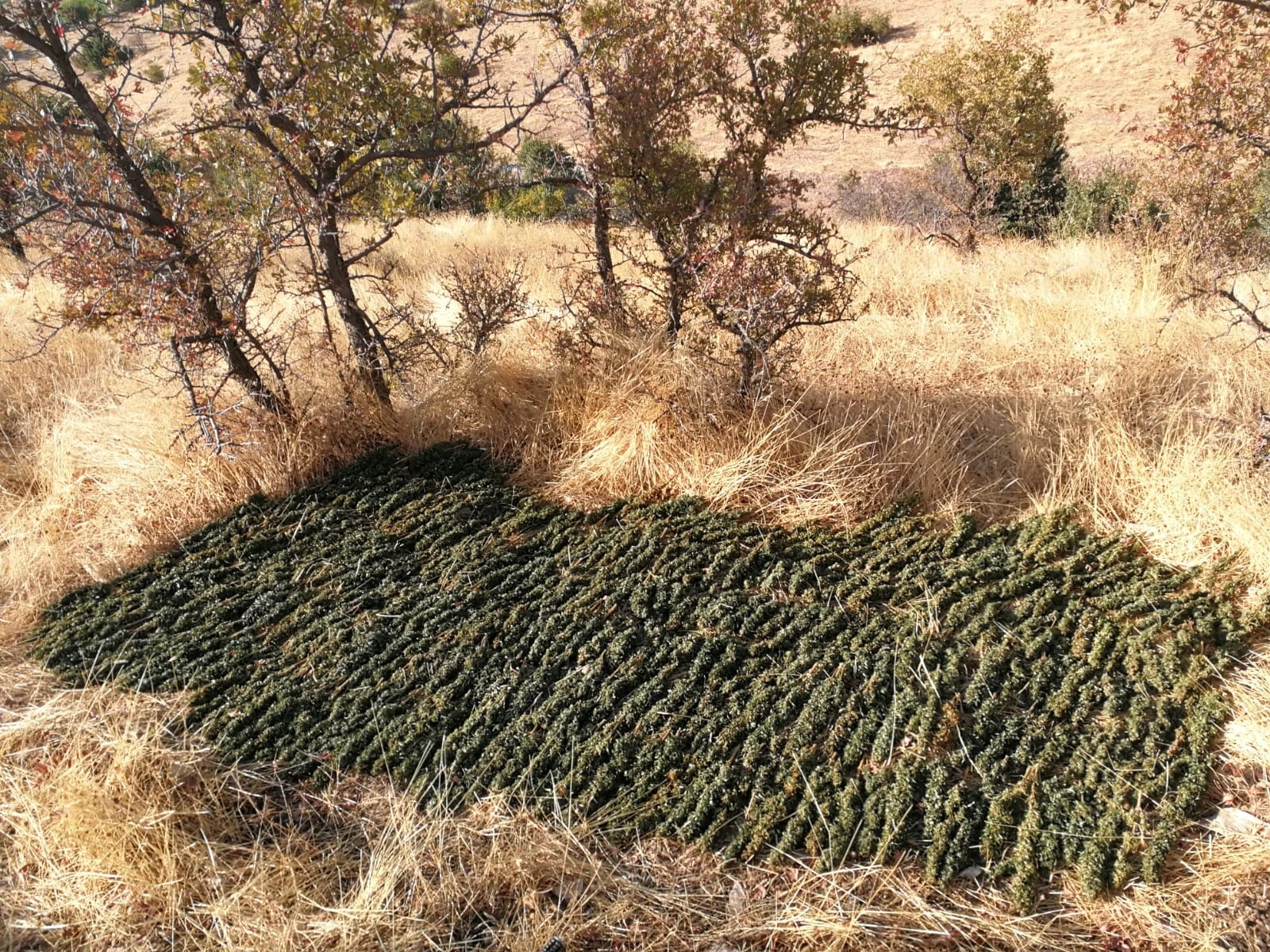 Diyarbakır’da terörün finans kaynağına büyük darbe