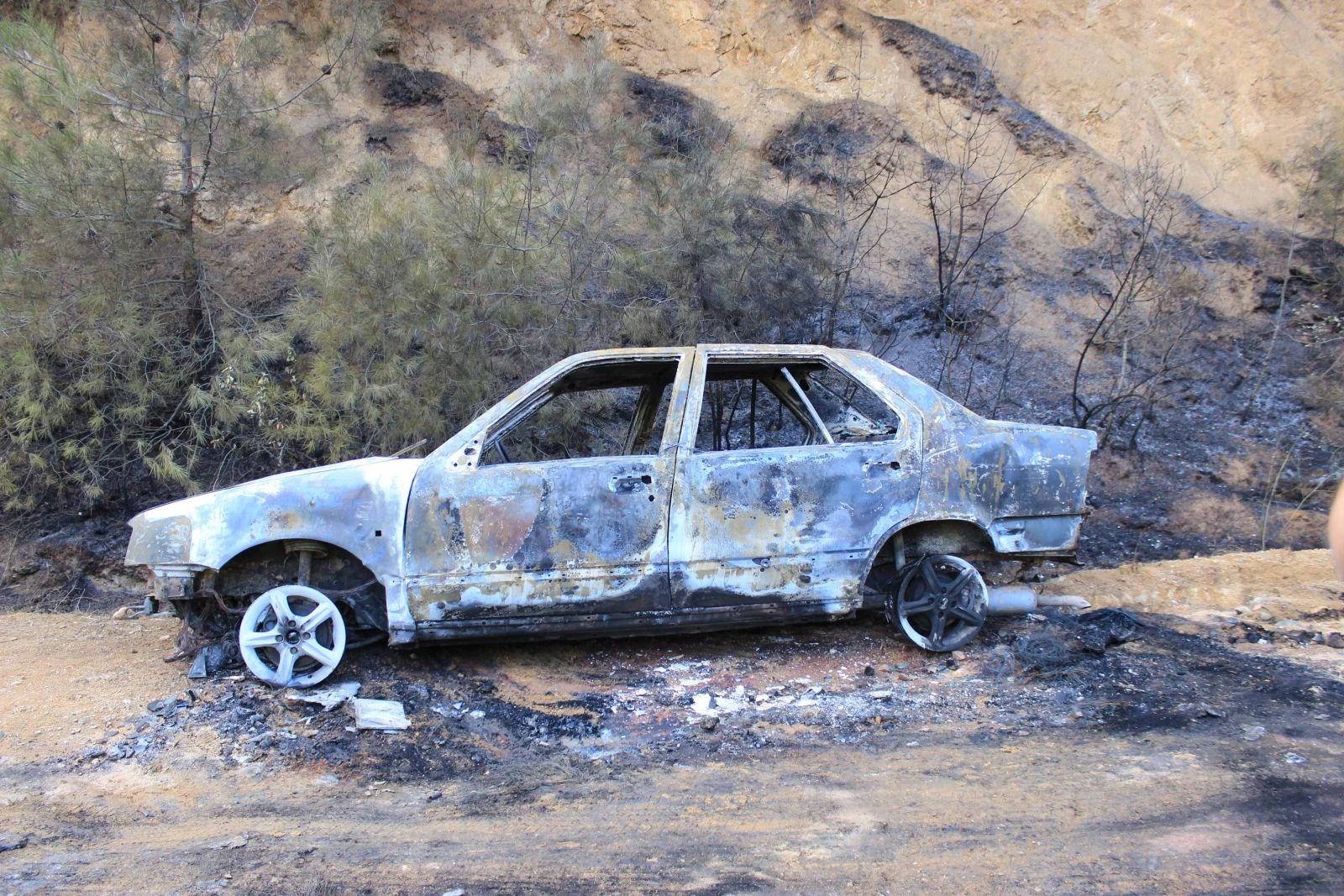 Alev alan otomobil orman yangınına sebep oldu