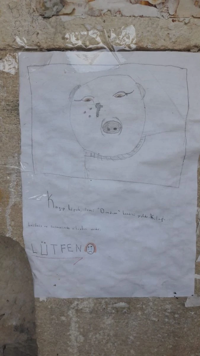 Köy çocuklarından gülümseten kayıp köpek ilanı