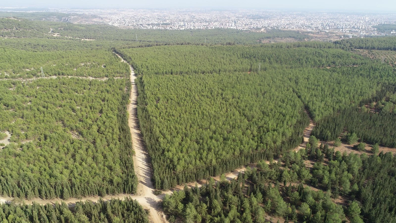 Duygu Çelikten cinayetinde tüyler ürperten detaylar