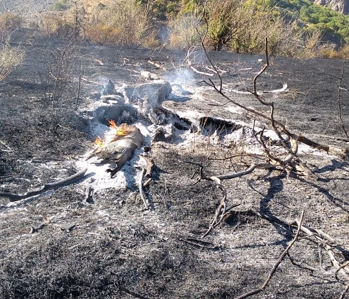 Tunceli’de iki noktada yangın çıktı