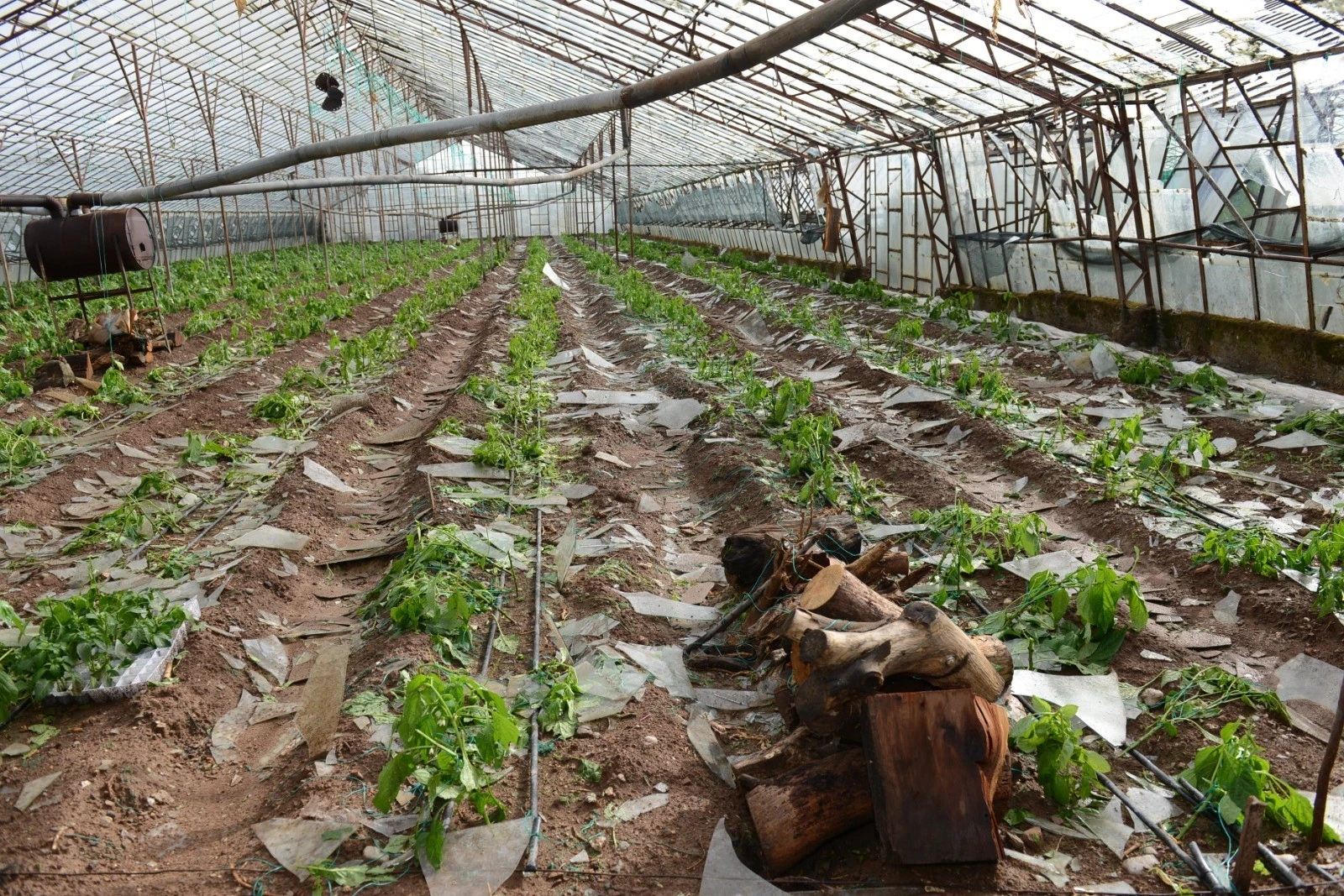 Otobüs durağının altında kalan kadın kurtarılamadı