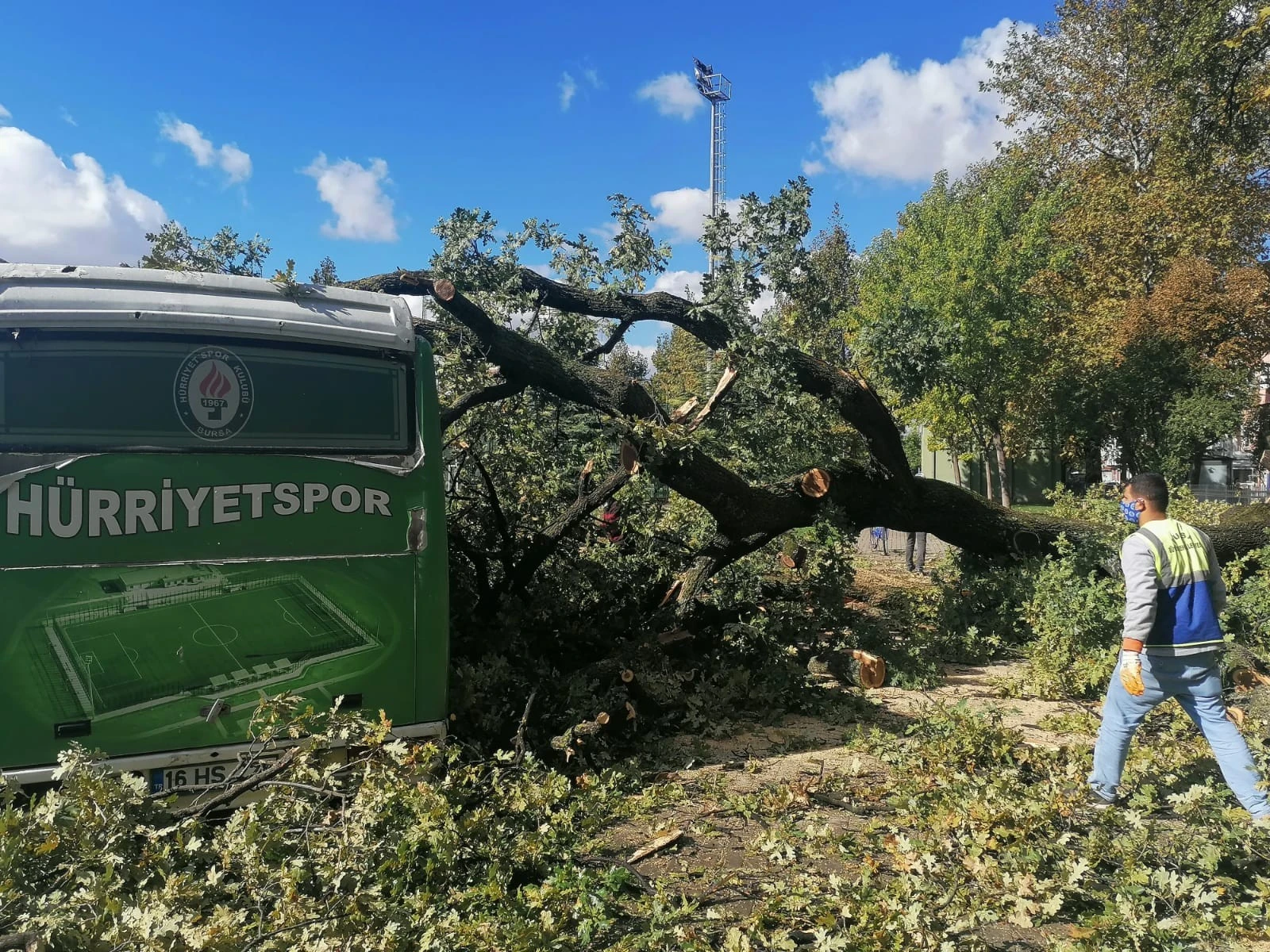 Asırlık anıt ağaç depreme dayanamadı