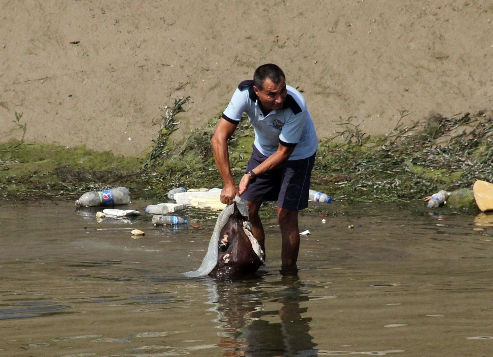 Adana'da vahşet! Sulama kanalında at ve eşek kemikleri bulundu