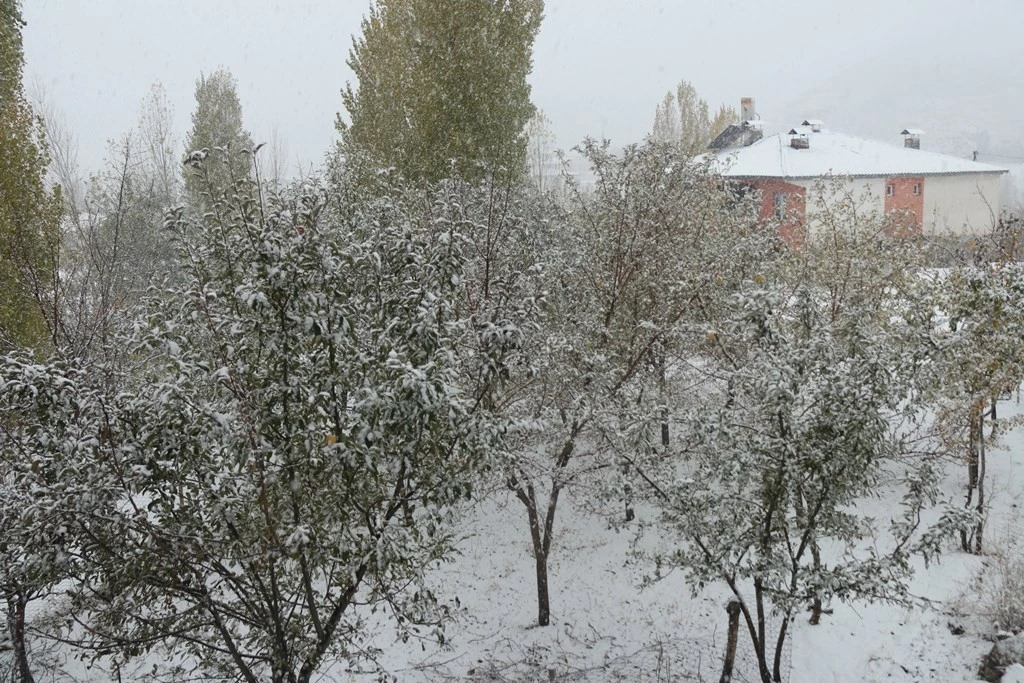 Bitlis’e mevsimin ilk karı yağdı