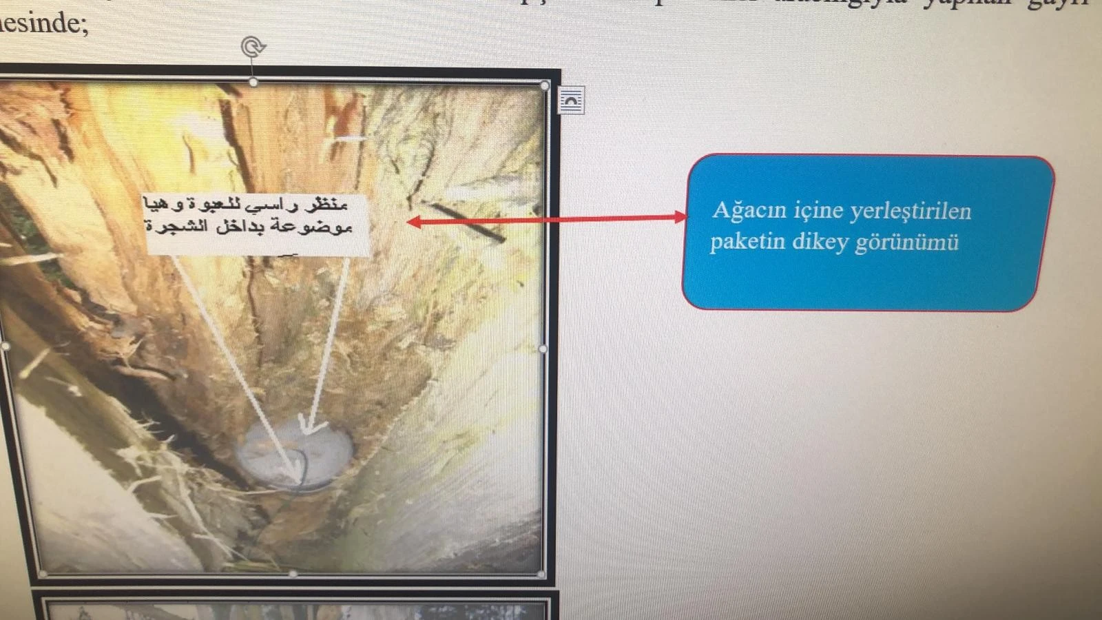 Ankara’da eylem hazırlığındaki DEAŞ'lı teröristler yakalandı