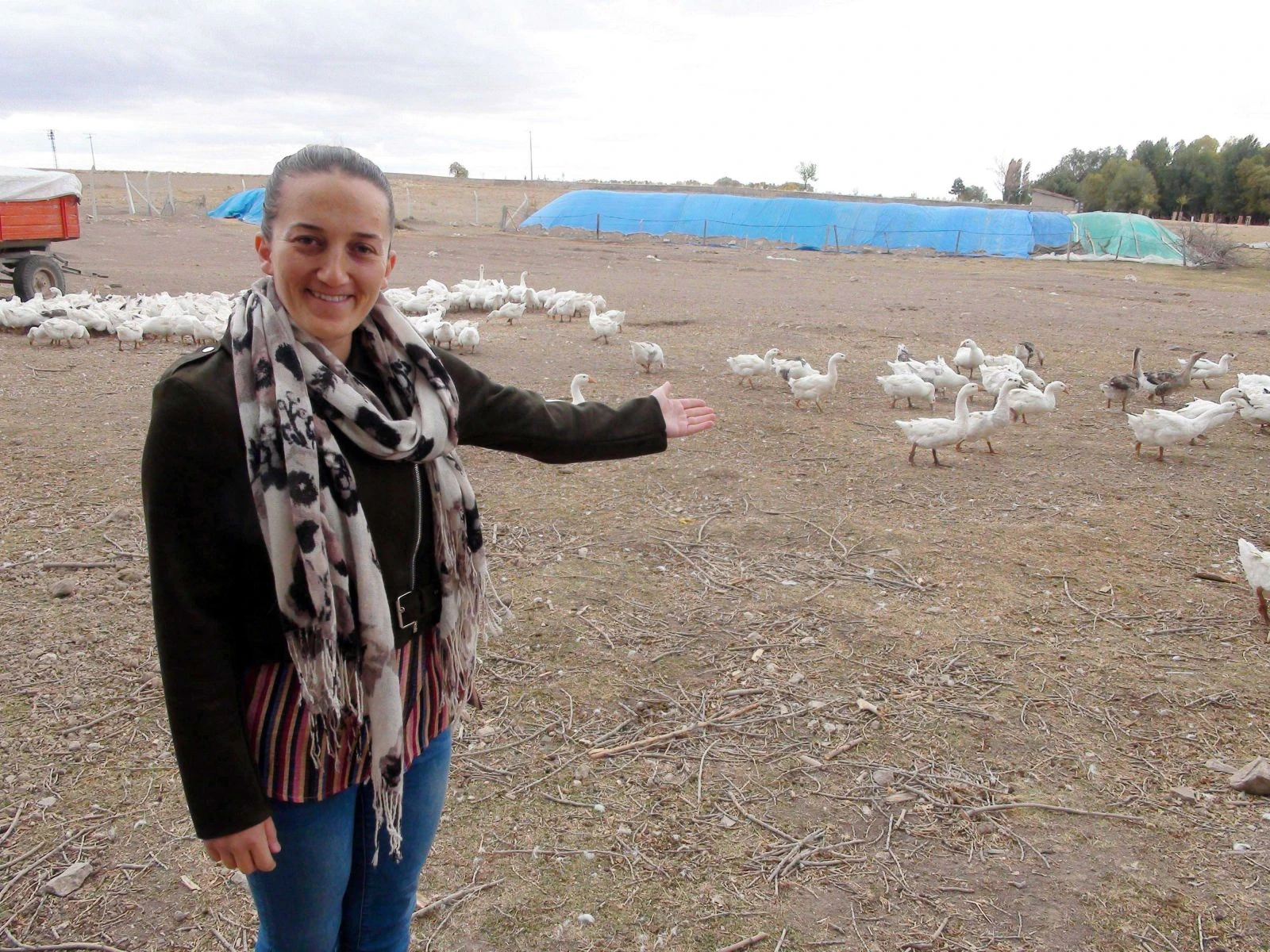 İşsizdi, köyde kurduğu kaz tesisiyle kendi işinin patronu oldu
