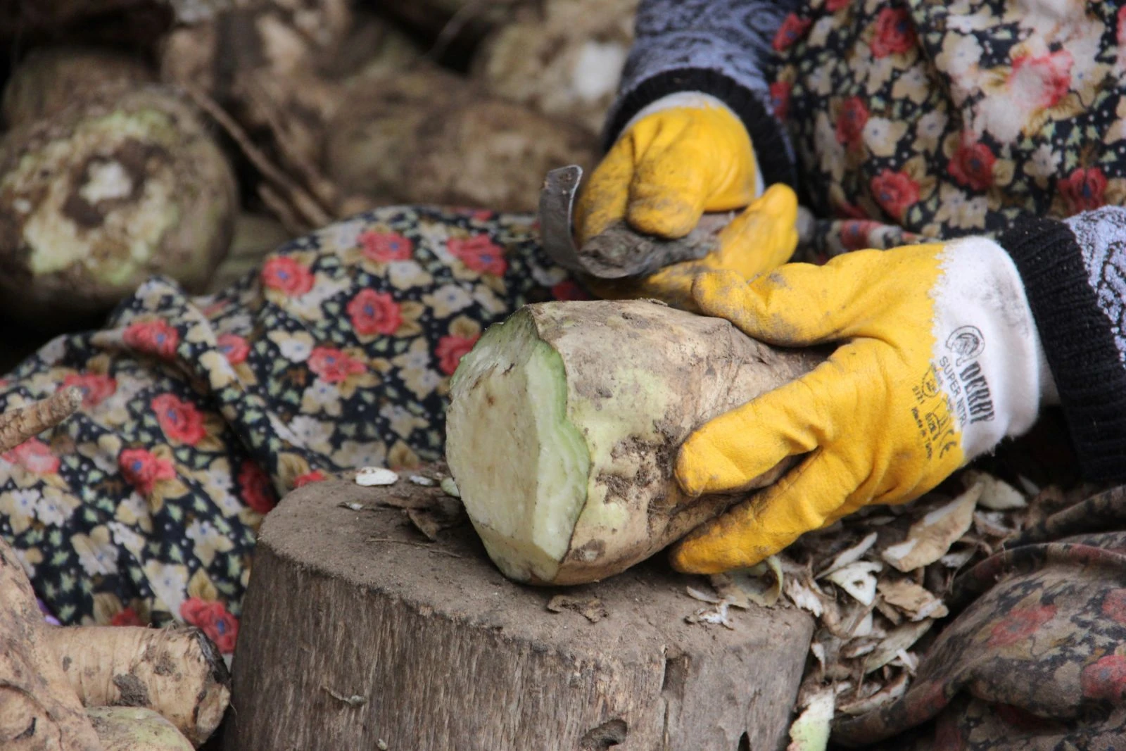 Poyralı'nın meşhur pancar pekmezinin yolculuğu