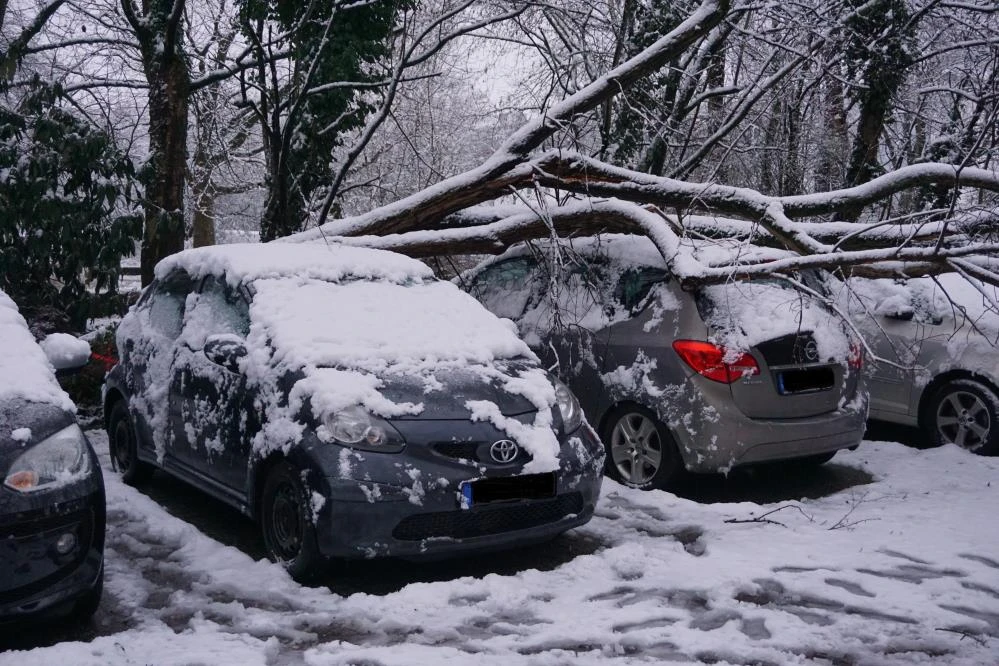 Almanya'da kar hayatı felç etti