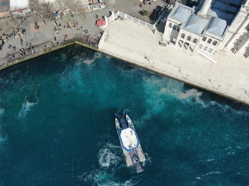 İstanbul Boğazı'nda denizanaları sürprizi: Sahiller beyaza büründü